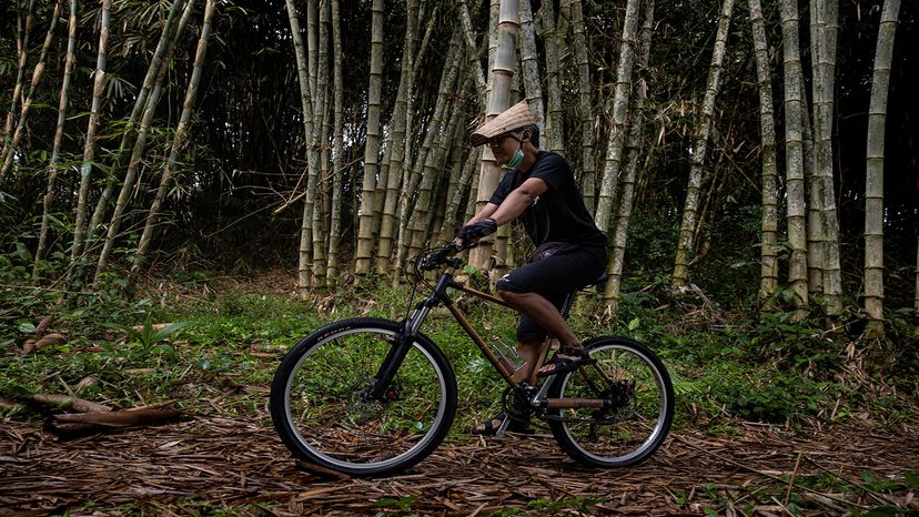 A Bicycle Built of Bamboo Is the Ultimate Eco friendly Ride