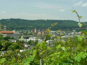 Vineyard above the city of Trier, you can see the St. Constantin Basilica.