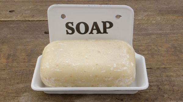 bar of soap in dish