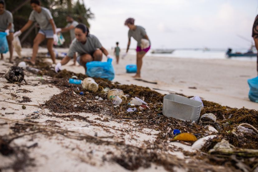 A multiracial group of people, male and female volunteers cleaning the beach together.