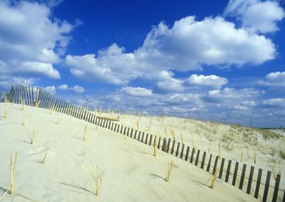 Sand dunes with wooden fence on Assateague Island, Virginia