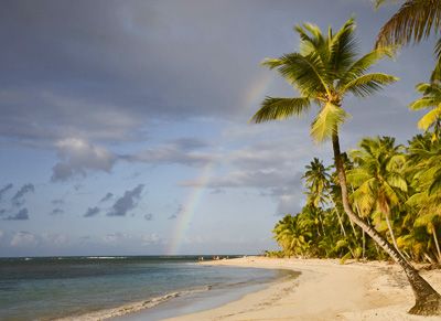 Rainbow over palm trees on beach in Puerto Plata, Dominican Republic