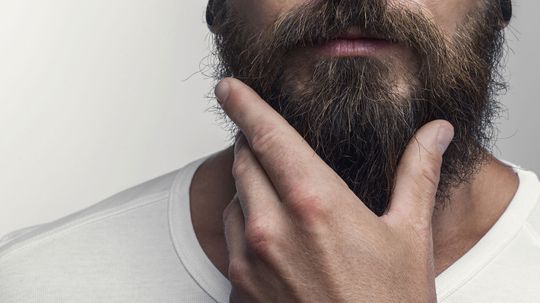 Can You Get Lice in Your Beard?