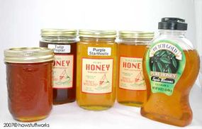 These honeys come from flowering plants that grow in the southeastern United States. The variations in color come from the different types of nectar the bees harvestedto make the honey.