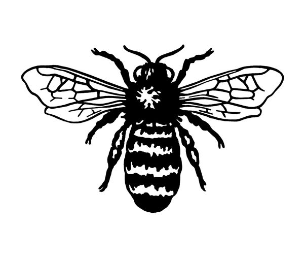 What Does a Bee Tattoo Represent? Hard Work, Protection, and Growth