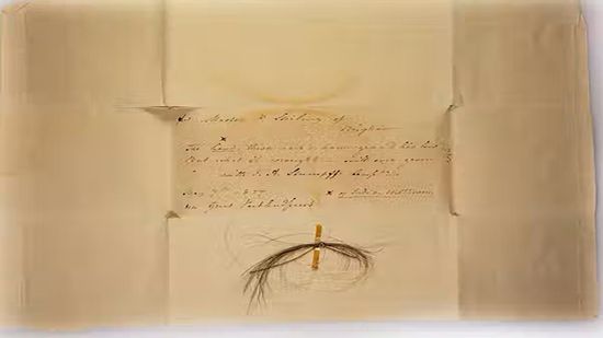 DNA从贝多芬的头发显示健康不良和家庭秘密新利国际网站品牌官网