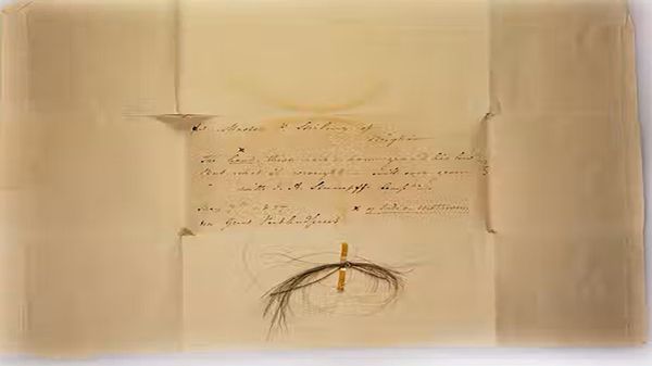 贝多芬头发中的DNA揭示了健康状况不佳和家庭秘密新利国际网站品牌官网”width=