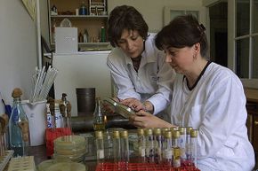 Georgian doctors Nina Chanishvili (L) and Ketino Porchidze work in the laboratory of the Eliava Institute of Bacteriophage, Microbiology and Virology in 2005. Bacteriophage therapy was very popular in Russia and Eastern Europe.