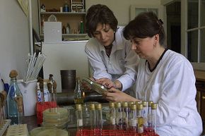 2005年，格鲁吉亚医生Nina Chanishvili(左)和Ketino Porchidze在Eliava噬菌体、微生物学和病毒学研究所的实验室工作。噬菌体疗法在俄罗斯和东欧非常流行。＂border=