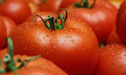 Fruit? Vegetable? Either way, it's definitely good for you. See some pictures of international tomato recipes.