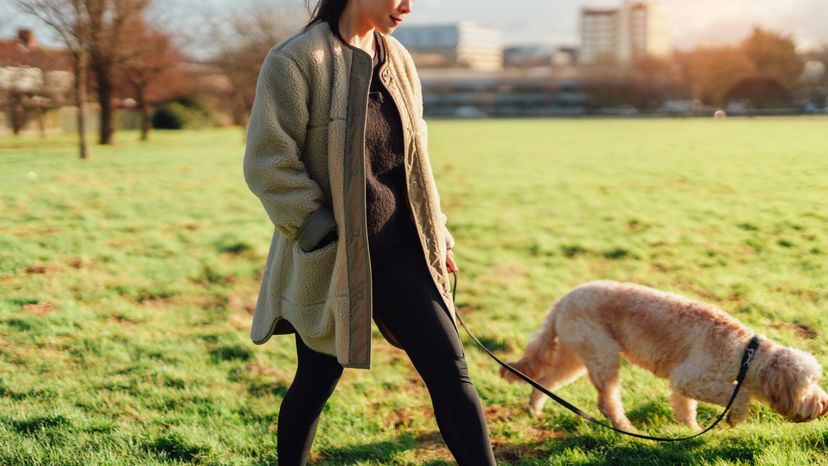 A young woman walking with a dog on leash at the park with beautiful sunshine.