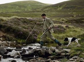 Gamekeeper Andrew Drummond crosses a stream with his springer spaniel on Drumochter Moore on the Milton Estate in Scotland.