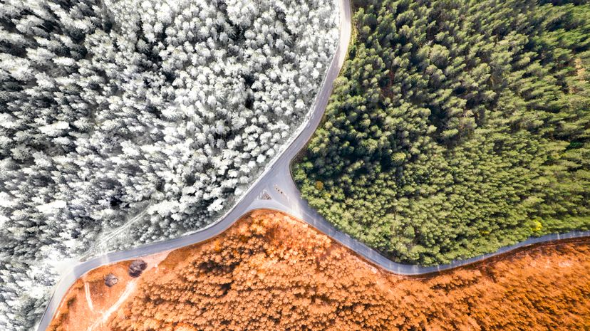 Aerial view of a highway road through the forest in spring, summer, winter and autumn.