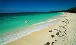 Bimini Island