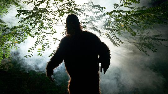 Bigfoot: The Pacific Northwest's Claim to Cryptid Fame