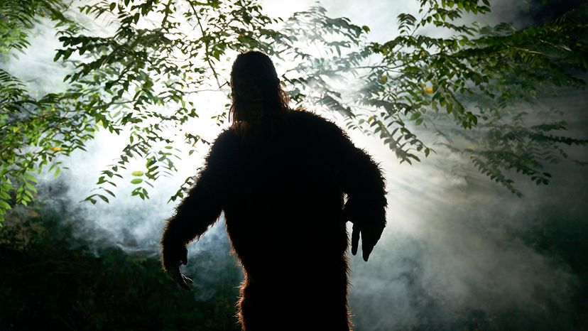 A Sasquatch or Bigfoot is silhouetted in a foggy forest