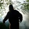 Bigfoot: The Pacific Northwest's Claim to Cryptid Fame