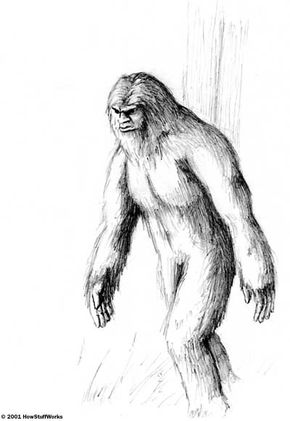 Artist's rendition of what a bigfoot might look like, based on descriptions from eyewitnesses