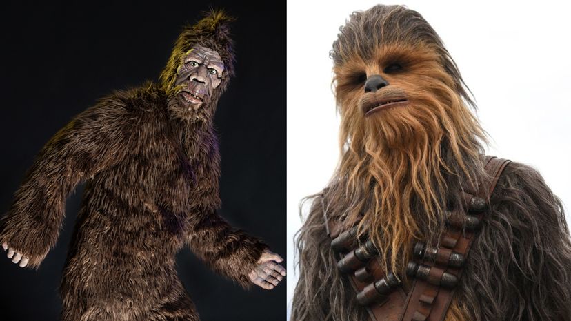 Bigfoot and Chewie