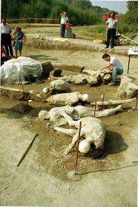 1991年9月6日，在意大利庞贝，一位考古学家正在擦拭一具女性和她同伴的灰泥尸体，这具尸体与其他几具出土的骷髅一起被发现。＂width=