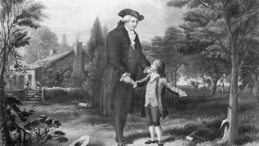 Young George Washington tells his father he chopped down the cherry tree 