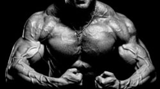 Top 10 Biggest Bodybuilders