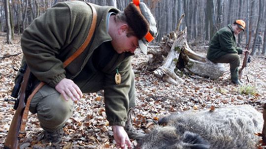 什么是大游戏?＂width=