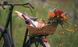 Picnic basket on bike.