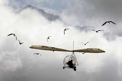 Hang glider and birds