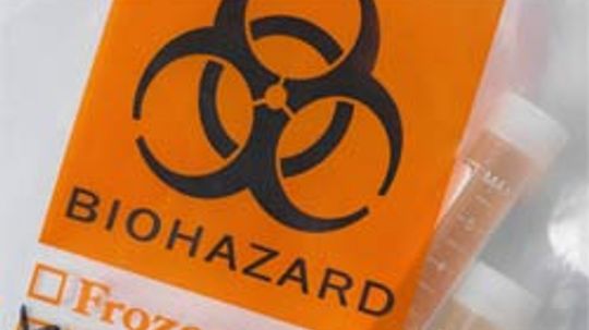 Wild World: Biological and Chemical Warfare Quiz