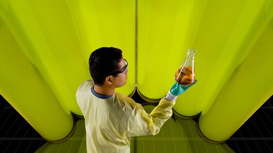 Biodiesel Quiz