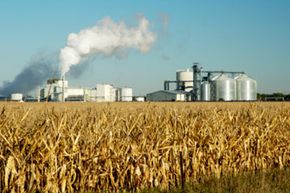 Ethanol production could cause the price of corn to rise, resulting in a ripple effect that ends with consumers paying more for corn.