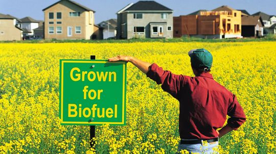 The Biofuel Quiz