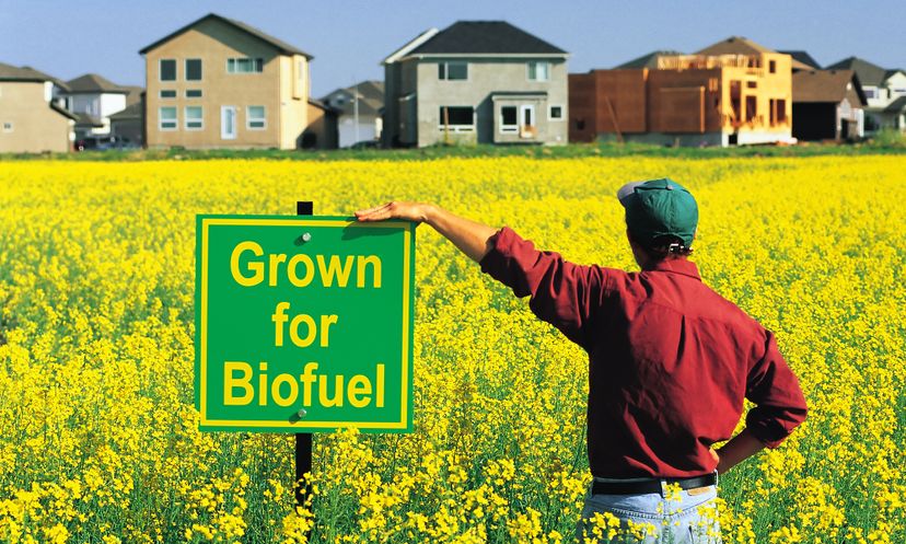 The Biofuel Quiz