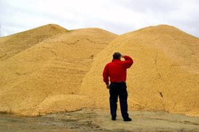 经济学家认为200000年美国就业可以创建为每个100亿加仑的玉米乙醇生产。”width=