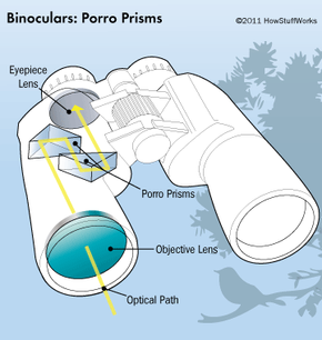 Objective lens hot sale binoculars