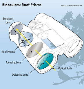 Binoculars store buying guide