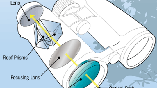 Binoculars Buying Guide