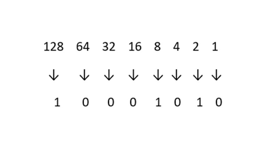 binary to decimal conversion