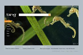 &nbsp;The Bing homepage with a background image with three swimming seahorses.