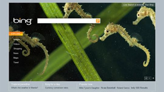 What is Bing? A Close Look at How Microsoft Bing Works