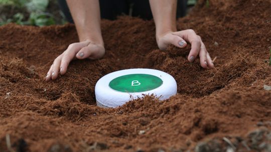 Turn Your Loved One Into a Tree With Bios Urn