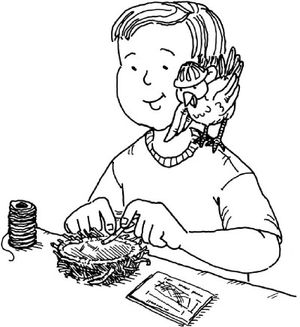 Bird-Watching Activities for Kids