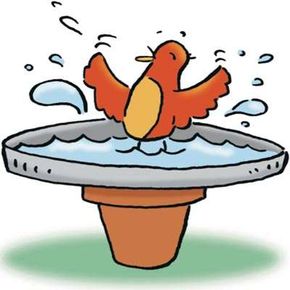 Splish-splash, this birdie is enjoying his bath.