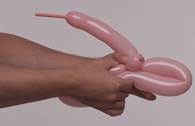 bird balloon animal