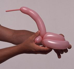 swan balloon animal