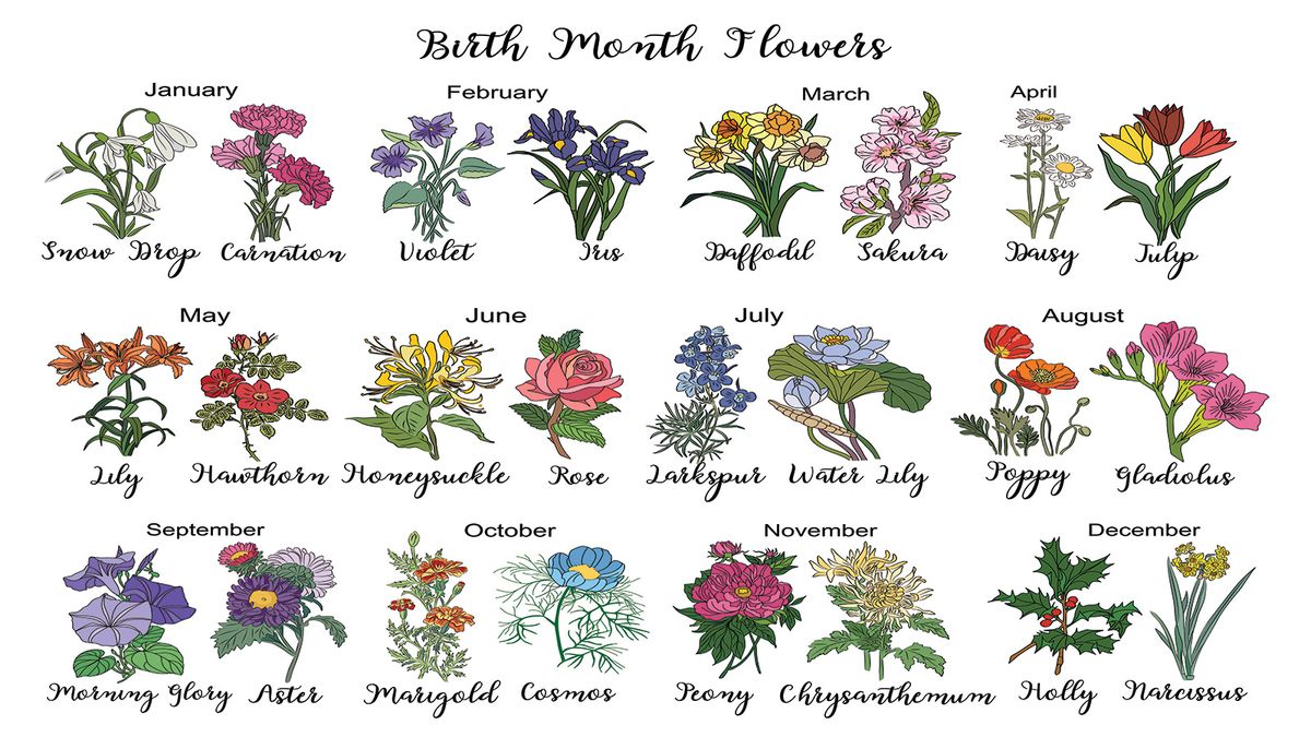 Was sind die 12 Geburtsblumen?