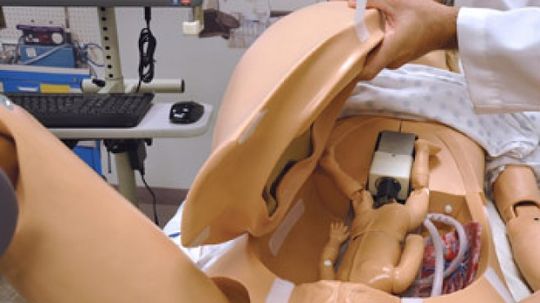 18新利最新登入出生模拟器的工作原理”width=