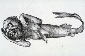 The Fiji Mermaid was a far cry from the beautiful, fantastical mermaids we imagine today.