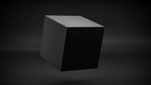 What Is an AI Black Box? A Computer Scientist Explains